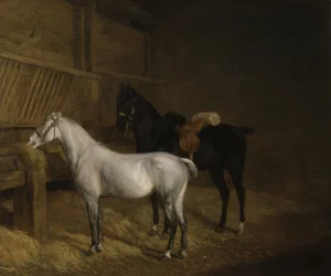 Ein graues Pony und ein schwarzes Schlachtross in einem Stall
