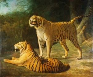 Ein Tiger und eine Tigerin im Exeter Change Menagerie, 1808
