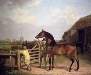 "Bay Ascham", ein Hengst wird durch ein Tor zu einer Stute geführt, 1804