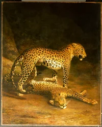 Zwei Leoparden im Exeter Exchange, 1808