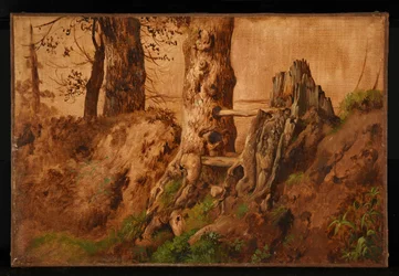 Bäume und Felsen