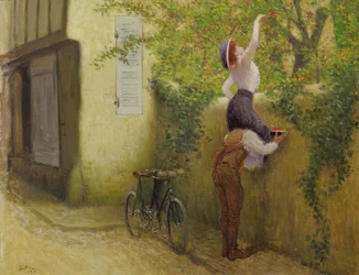 Pflaumenernte