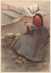 Heideblume, 1897.