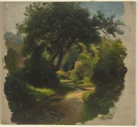 Waldweg