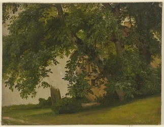 Haus hinter Bäumen