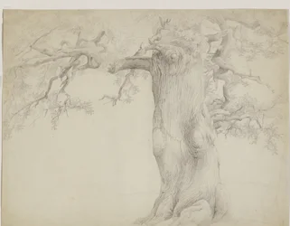 Alter Baum