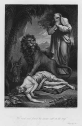 Der ungehorsame Prophet, I Könige XIII, 28 (Gravur)