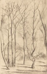 Der Dam-Wald