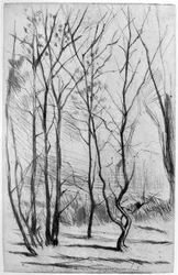 Der Dam-Wald, um 1875, 1904