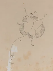Whistlers Schmetterling, 1886