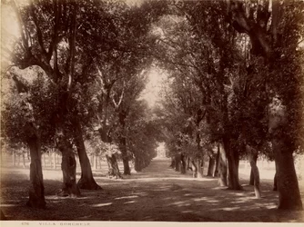 Villa Borghese