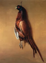 Hängender Fasanenhahn, 1822