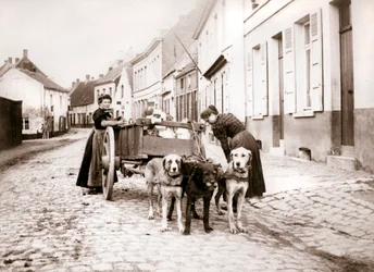 Frauen und Hundekarren, Antwerpen, 1898