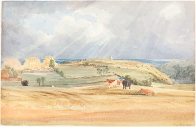 Landschaft mit Vieh (Somerset?)