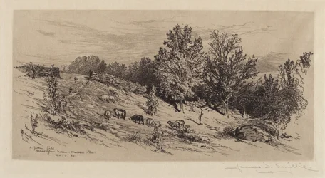 Ein brachliegendes Feld