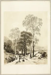 Birke und Eiche, aus Der Park und der Wald