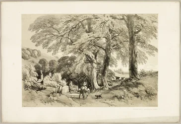 Ulme, aus Der Park und der Wald