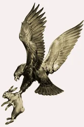 Der Adler und der Hase, aus der Geschichte von Aesop