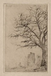 Akazie