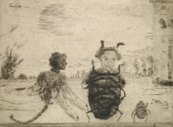 Seltsame Insekten
