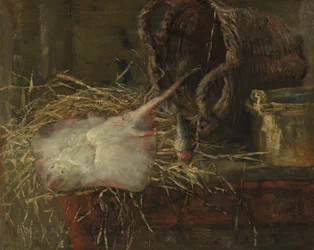 Der Rochen