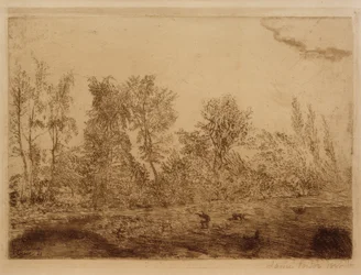 Windstoß am Waldrand