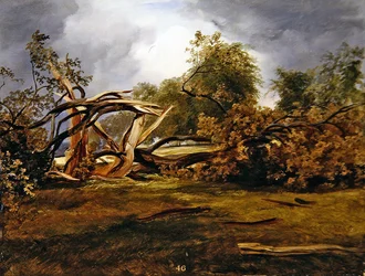 Die gesprengte Eiche
