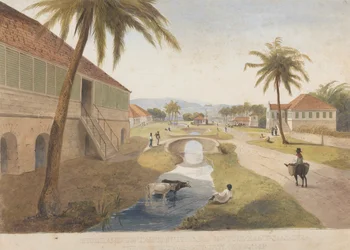 Holland Estate, St. Thomas im Osten, Jamaika [Eines von]