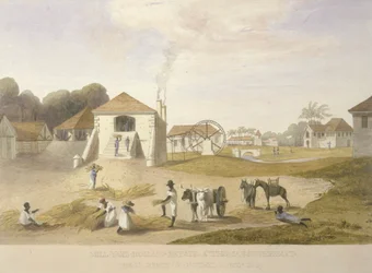 Mühlenhof, Holland Estate, St. Thomas im Osten