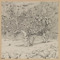 Feigenbaum, Tal von Hinnom, Illustration aus Das Leben unseres Herrn Jesus Christus