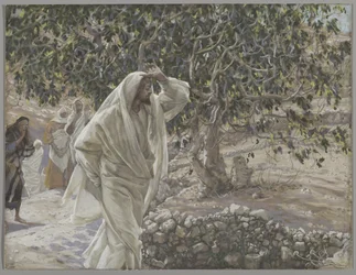 Der verfluchte Feigenbaum, Illustration aus Das Leben unseres Herrn Jesus Christus, 1886-94