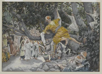Zachäus im Maulbeerbaum erwartet die Passage Jesu, Illustration aus Das Leben unseres Herrn Jesus Christus, 1886-96