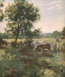 Sommerzeit, spätes 19. - frühes 20. Jahrhundert, ca. 1930