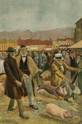 Ein irischer Schweinemarkt
