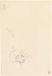Schmetterling