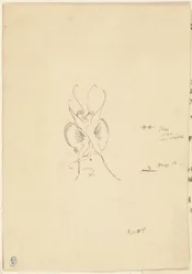 Schmetterling