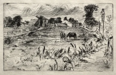 Landschaft mit dem Pferd