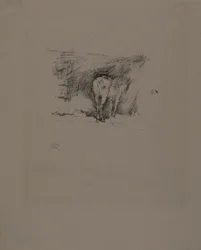 Studie eines Pferdes