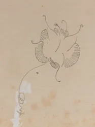 Whistlers Schmetterling