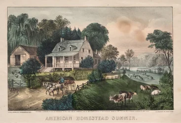 Amerikanische Heimstätte, Sommer, 1869