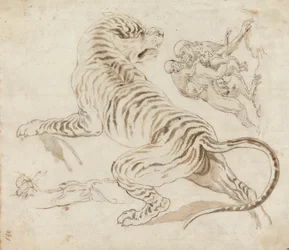 Studie für einen Tiger und Affen