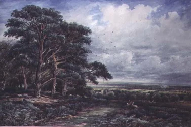 Bradgate Park bei Leicester