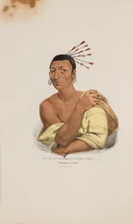 AT-TE-CONSE oder das junge Rentier; Ein Chippeway-Häuptling, aus dem Aboriginal Portfolio