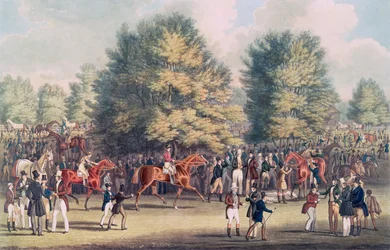 Epsom, Satteln im Warren