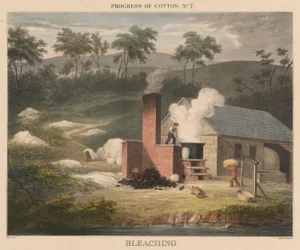 Fortschritt der Baumwolle, Nr. 7: Bleichen