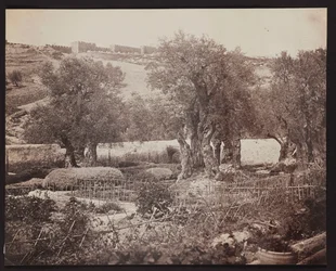 Gethsemane [Jerusalem. Garten Gethsemane]