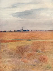 Wimbledon Common