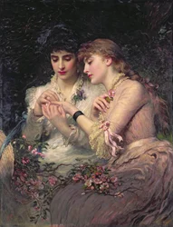 Eine Dornrose