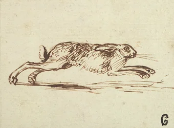 Ein Hase rennt, mit angelegten Ohren