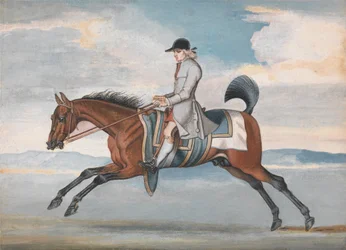 Rennpferd beim Training, geritten von einem Trainingsjockey